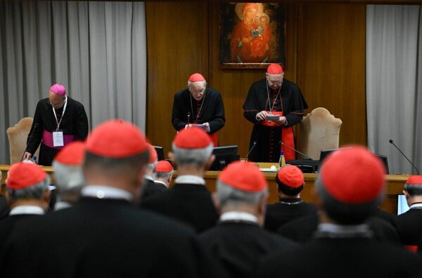 Cardinals Urge for Lasting Peace Amid Conflicts